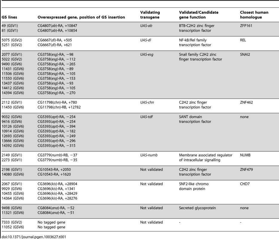 Identified <i>scrib<sup>−</sup></i> cooperating oncogenes.