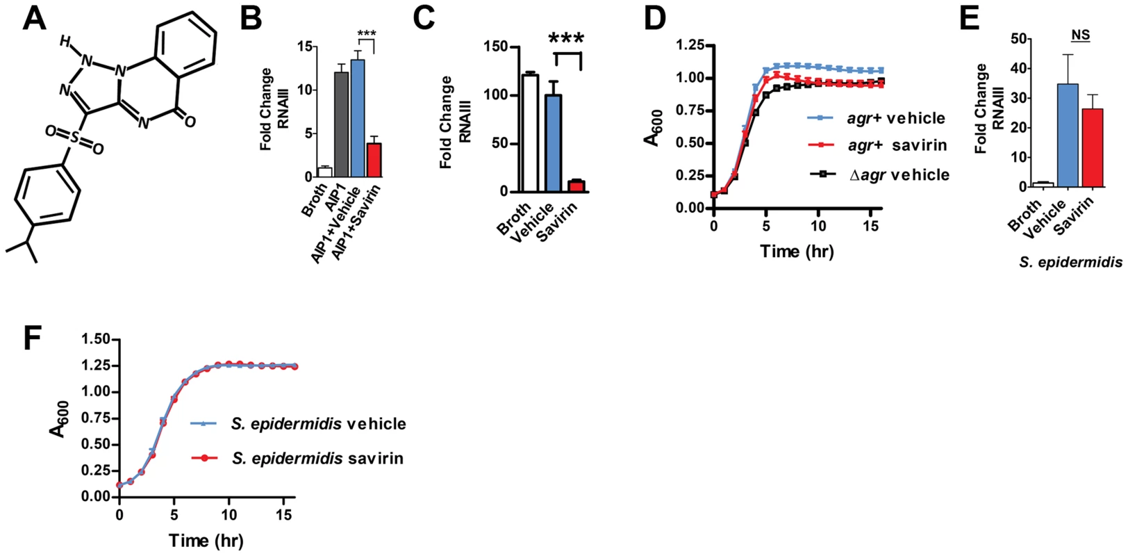 Savirin inhibits RNA III levels in <i>S. aureus</i>, but not <i>S. epidermidis</i>, without affecting <i>agr</i>-independent growth.