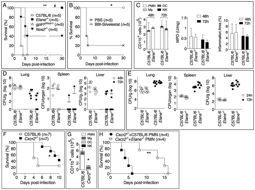 Neutrophil elastase reduces host tolerance to infection with <i>B. thailandensis</i>.