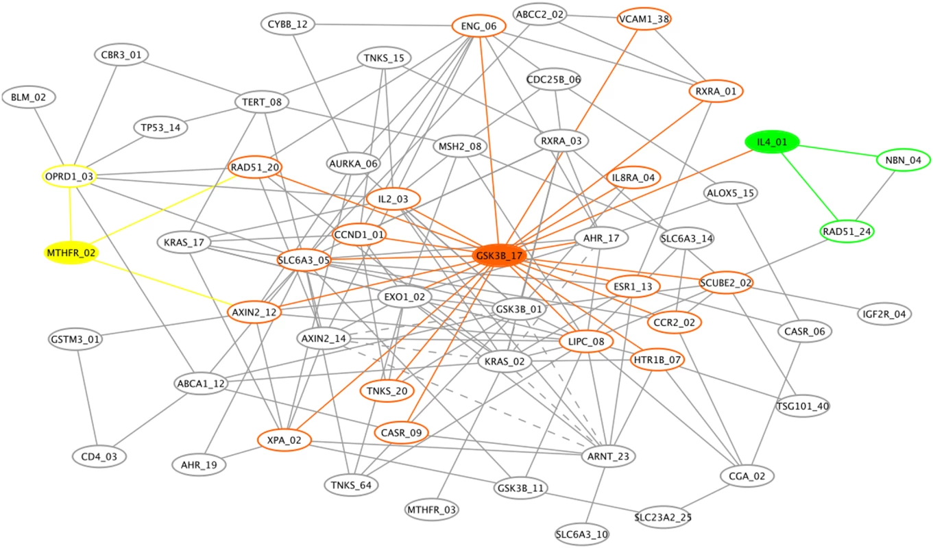 Genetic association interaction network (GAIN) for the top 70 SNPs selected by Evaporative Cooling (EC) as most relevant to smallpox vaccine-associated adverse events.