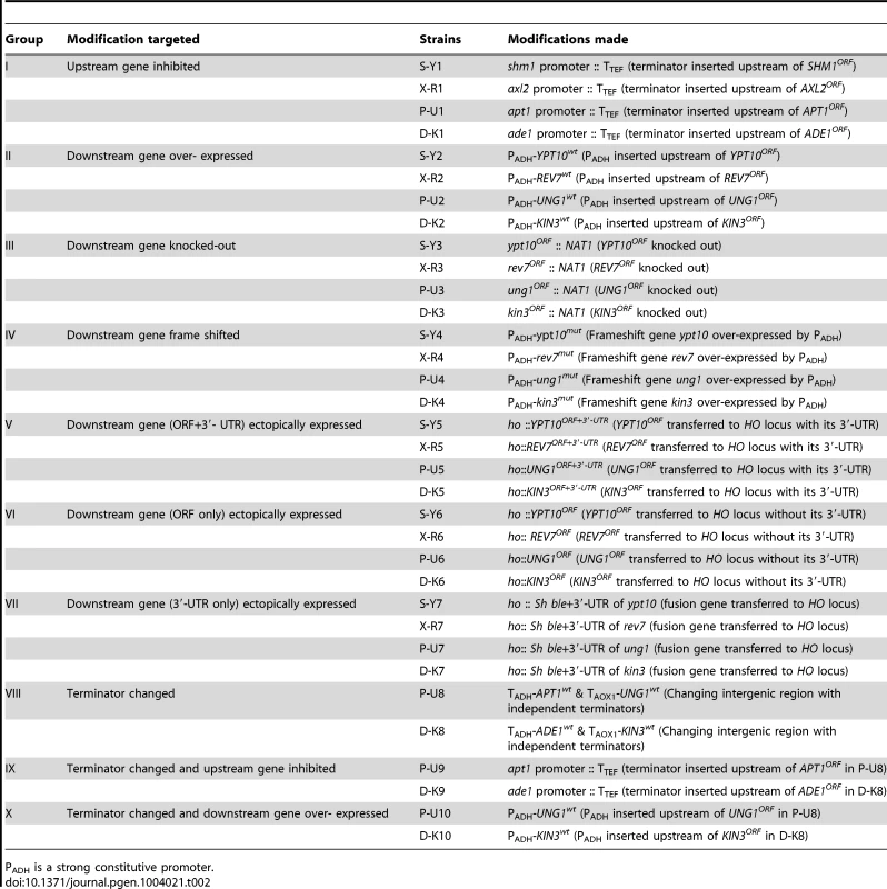 Summary of genetically modified strains of the standard wild type yeast YL1C.
