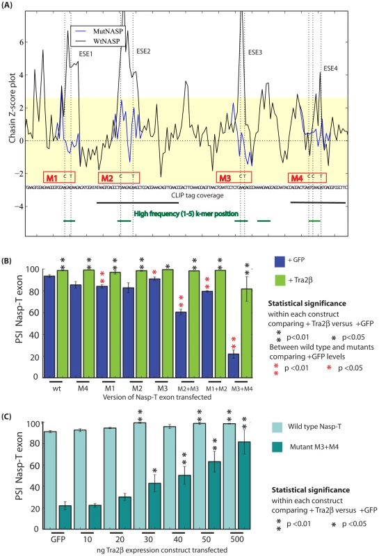 The splicing response to Tra2β is mediated through binding to four independent sites.