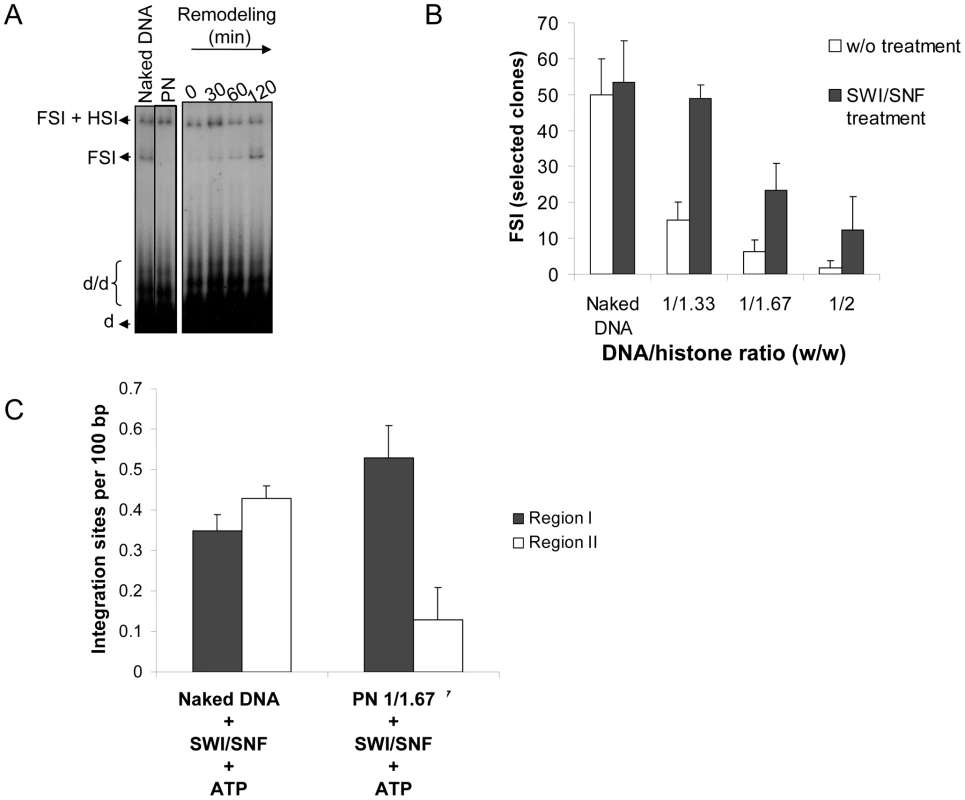 Effect of chromatin remodeling activity of the SWI/SNF complex on the <i>in vitro</i> integration in nucleosomal templates.