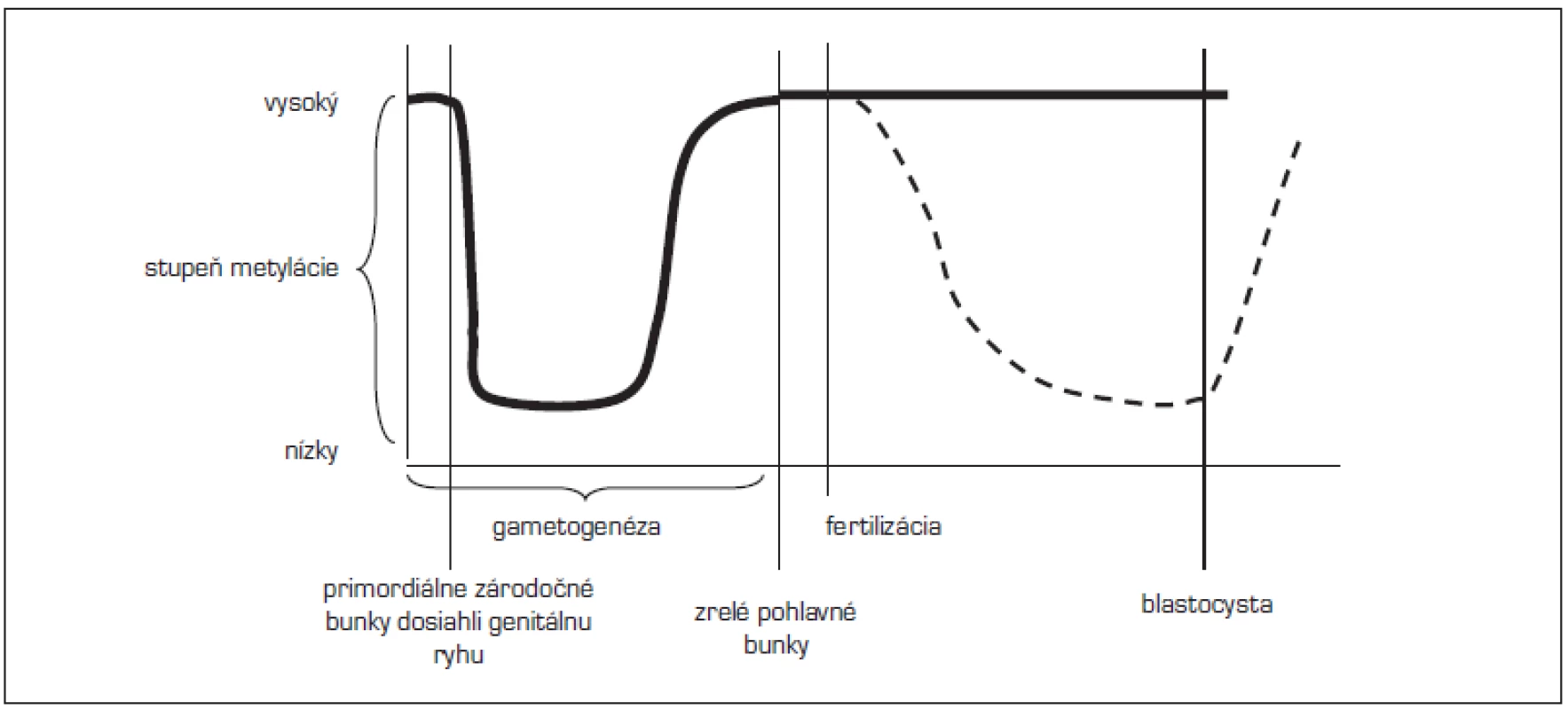 Načasovanie epigenetických znakov (upravené podľa Lucifero, 2004).
<em>(Po obdobie fertilizácie sa metylujú imprintované gény i ostatný genóm približne rovnako, po fertilizácii zostávajú imprintované gény chránené od demetylácie – hrubá čiara, kým ostatný genóm sa demetyluje a znovu metyluje – prerušovaná čiara)</em>