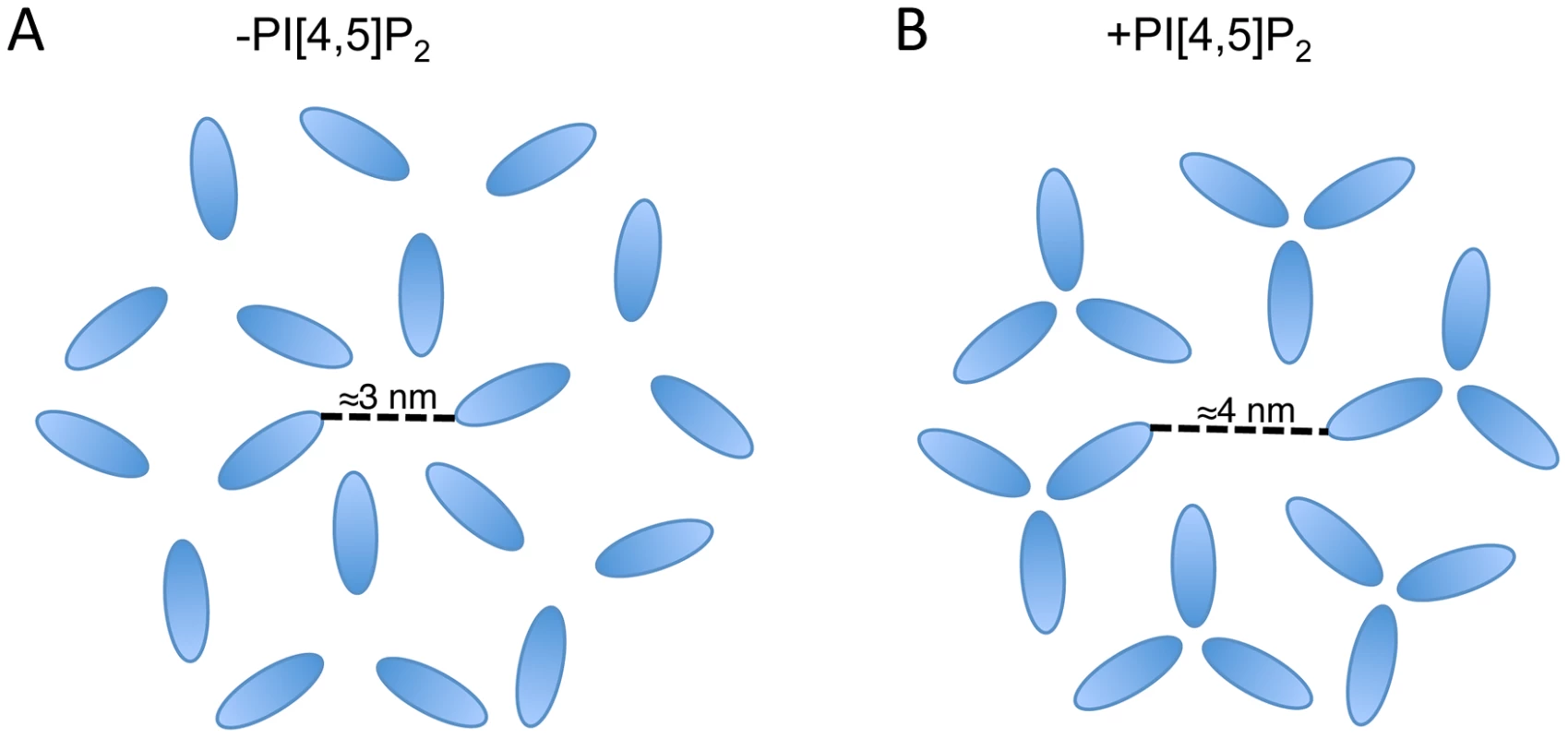 Schematic of two possible MA lattices.