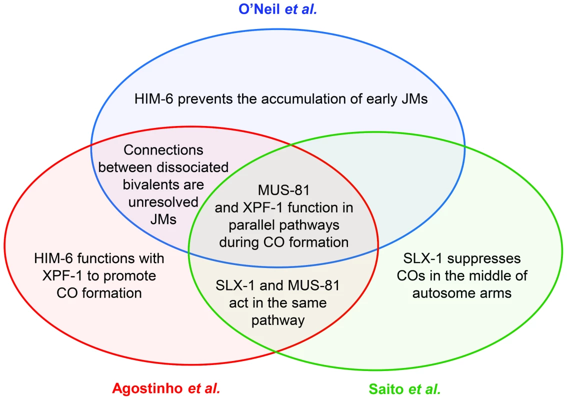 Venn diagram summarizing the main conclusions shared between the three publications discussed in the text.