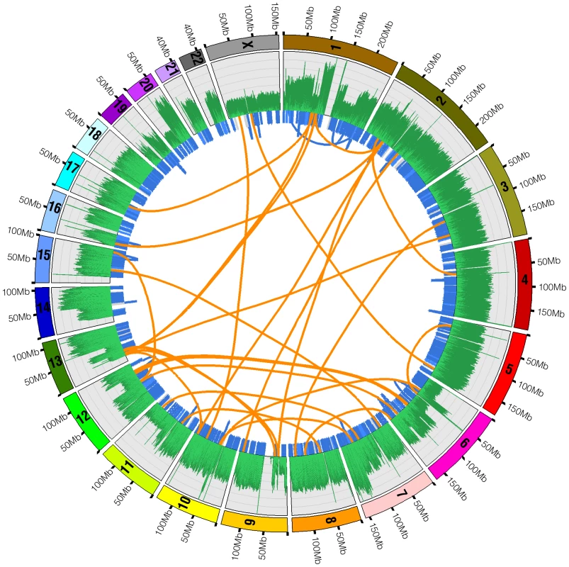 Structural variations in U87MG.