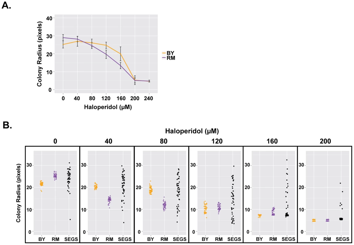 Haloperidol resistance differs between BY and RM, and shows transgressive segregation.