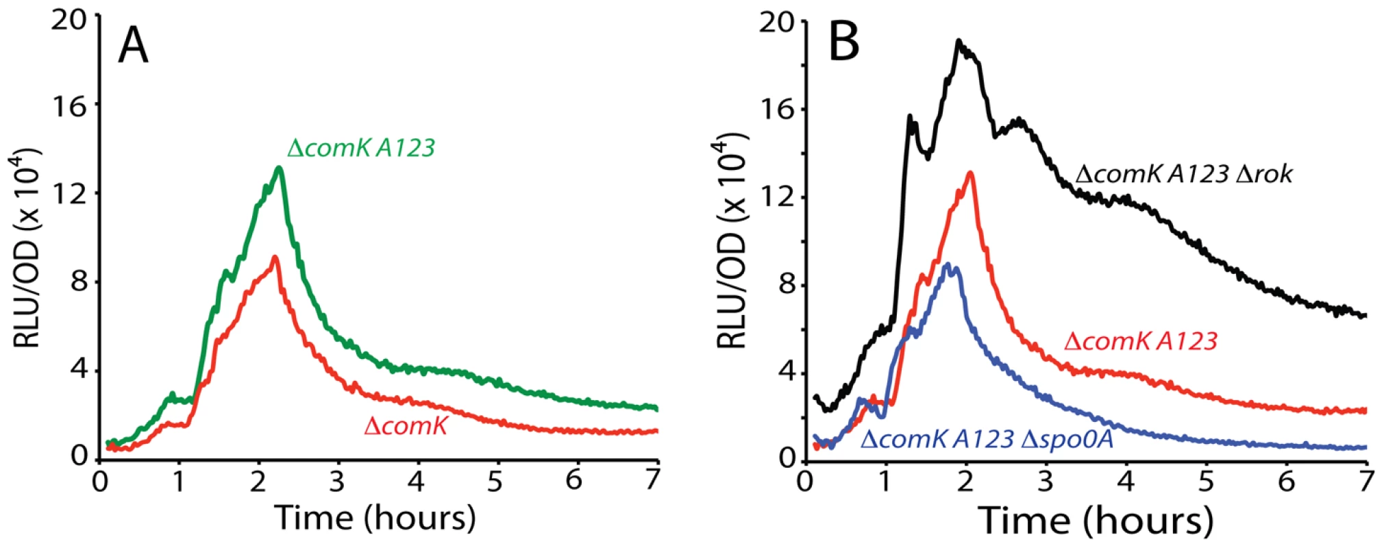 Effect of combined mutation of <i>A1</i>, <i>2</i>, and <i>3</i> on P<i>comK</i> expression.