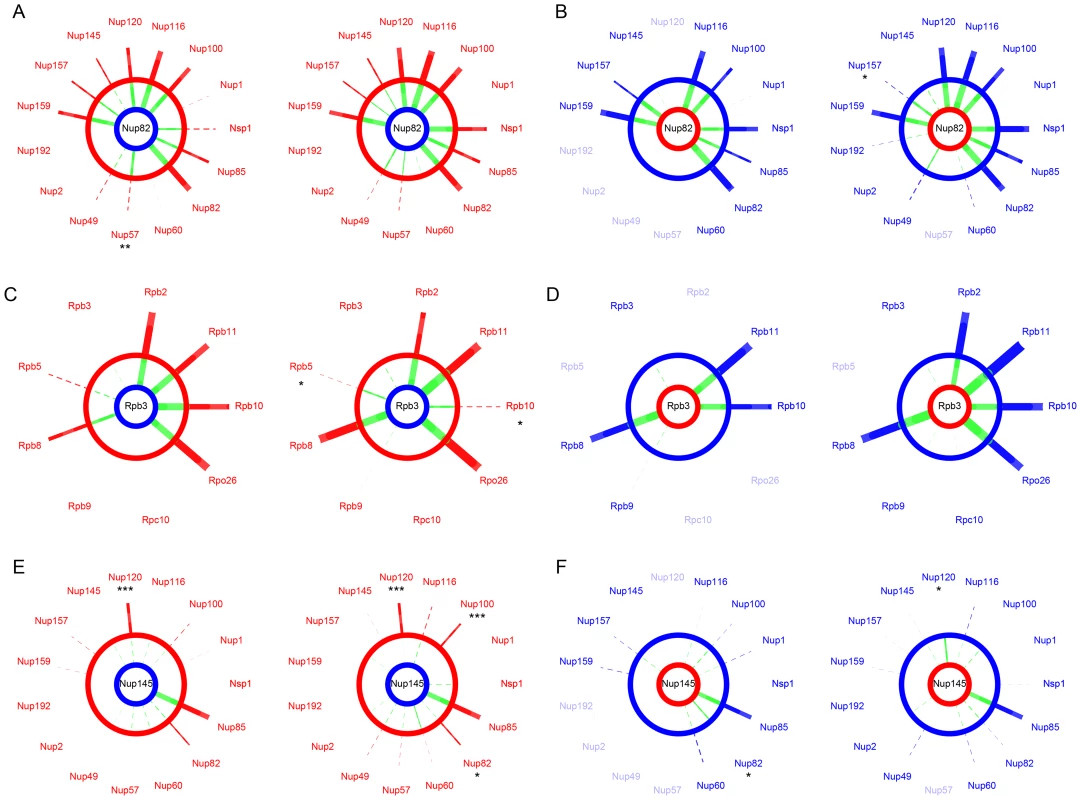 The NPC and RNApII are robust to hybridization.