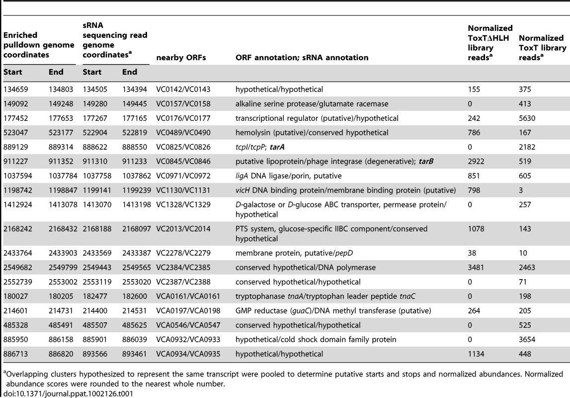 Intergenic sRNAs with <i>cis</i> located ToxT binding sites.