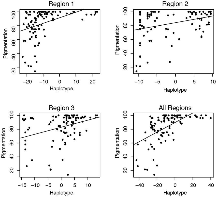 Pigmentation and the haplotype of associated polymorphisms.