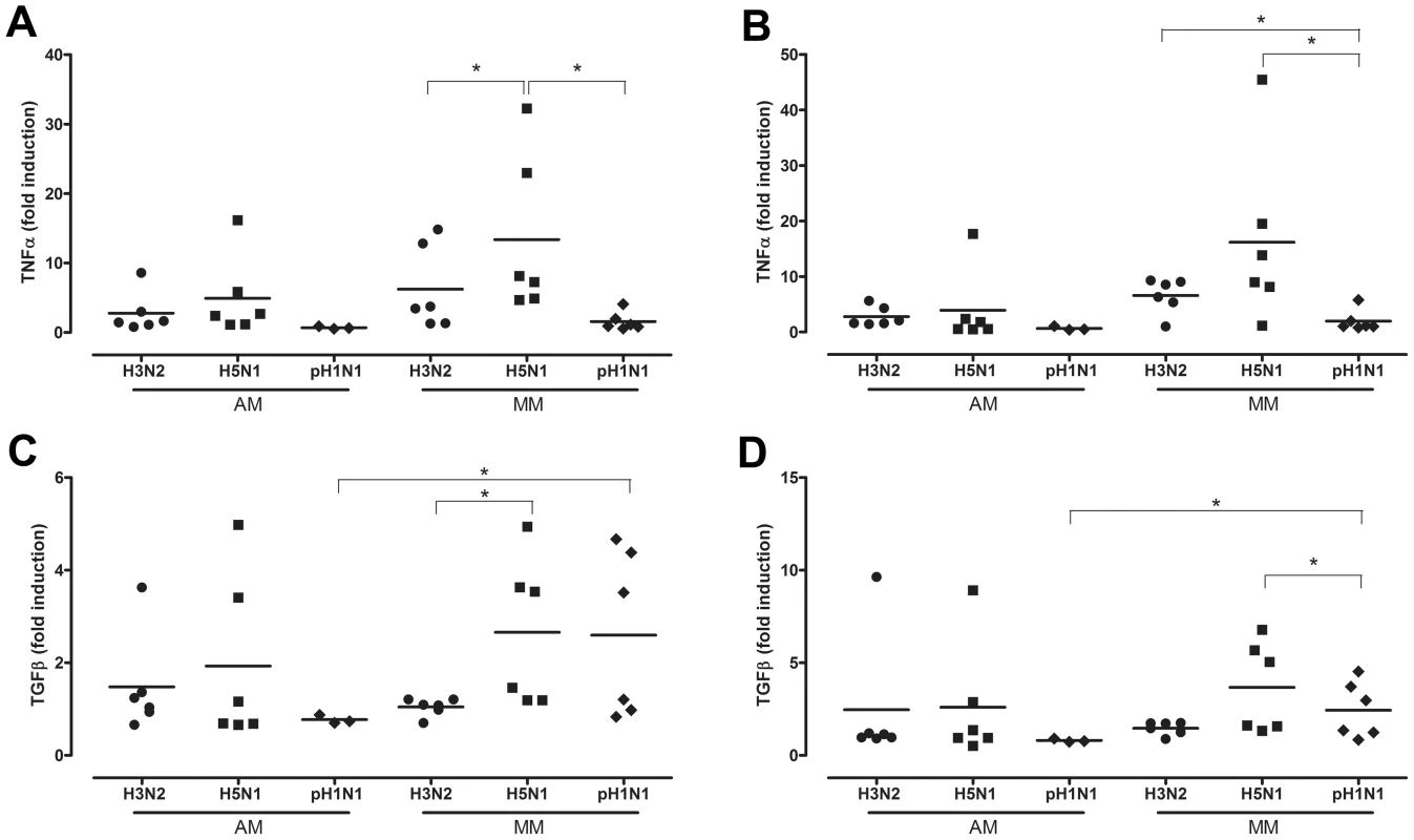 Cytokine mRNA levels after H3N2, H5N1 or H1N1 virus infection.