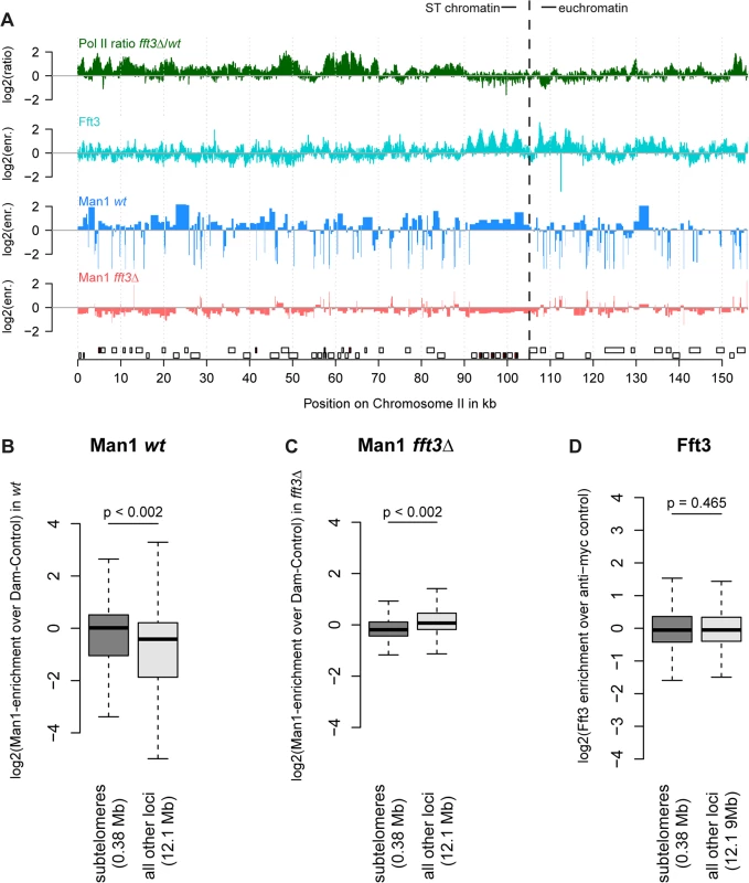 Chromatin changes at subtelomeres in <i>fft3Δ</i> cells coincide with changes in nuclear organization.