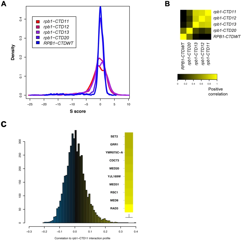 E-MAP uncovered CTD length-dependent genetic interactions with genes involved in transcription.
