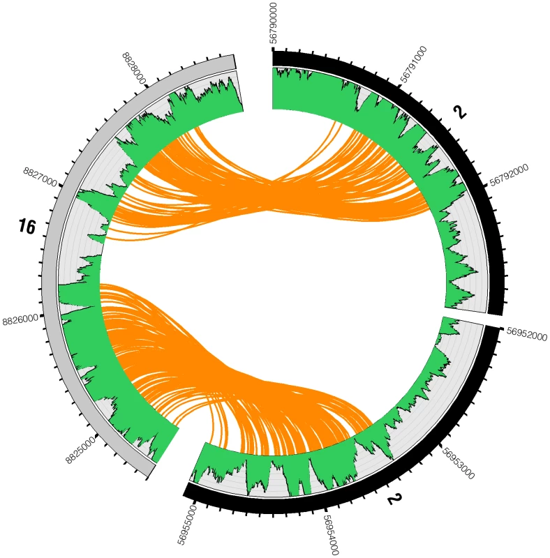 Reads spanning interchromosomal translocation breakpoints.