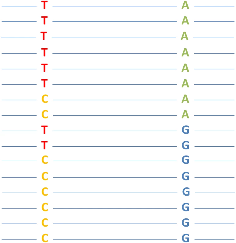 A hypothetical example of epistasis between two nucleotide sites that is detectable by genomeDCA.