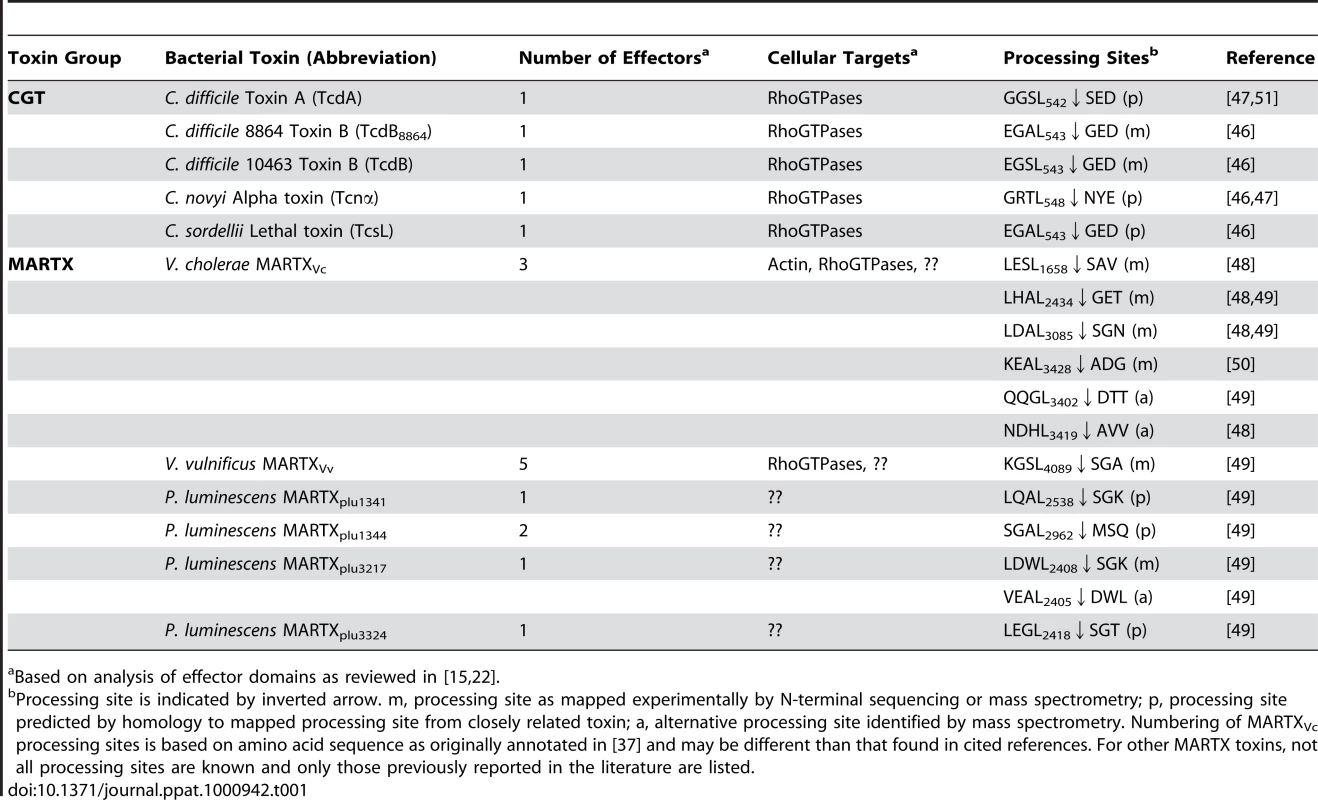 InsP<sub>6</sub>-induced autoprocessing CGTs and MARTX toxins.