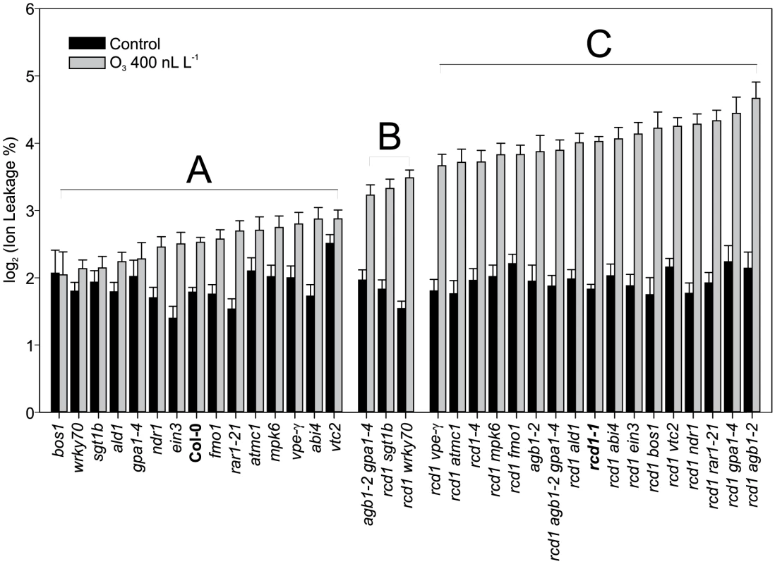 Quantification of O<sub>3</sub> -induced cell death in Col-0, <i>rcd1</i> and various double mutants.