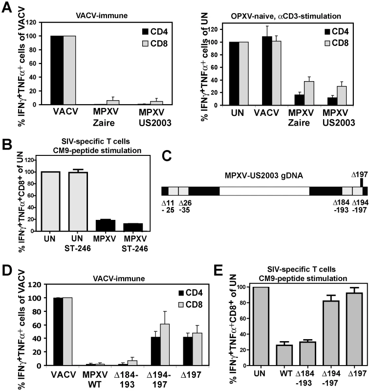 MPXV197 is required for T cell inhibition by MPXV.