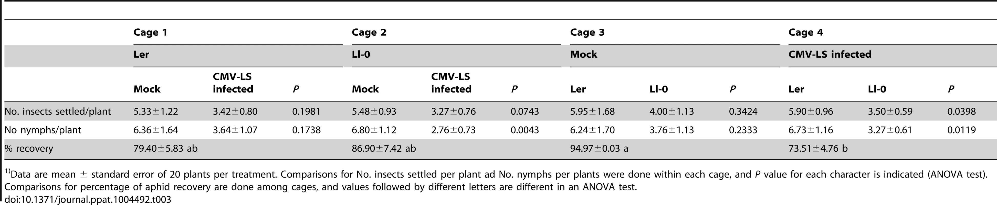 <i>Myzus persicae</i> adults and nymphs recovered 24 h post release on two different genotypes of <i>Arabidopsis</i><em class="ref">1)</em>.