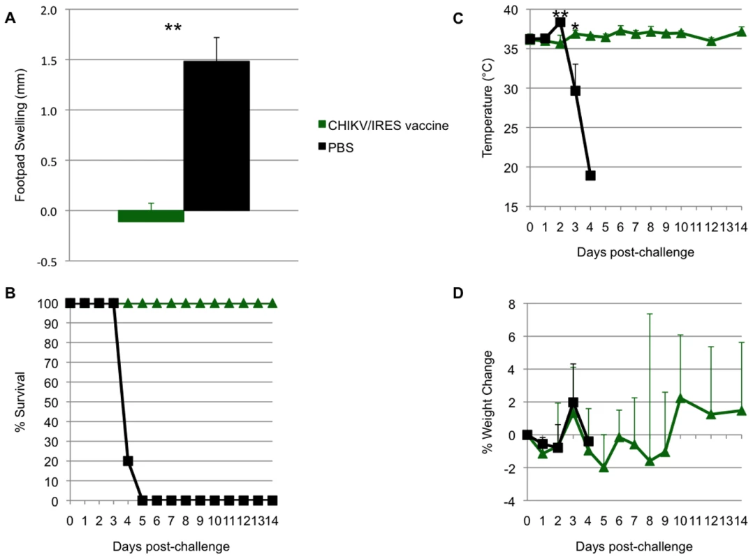 Duration of immunity in A129 mice.