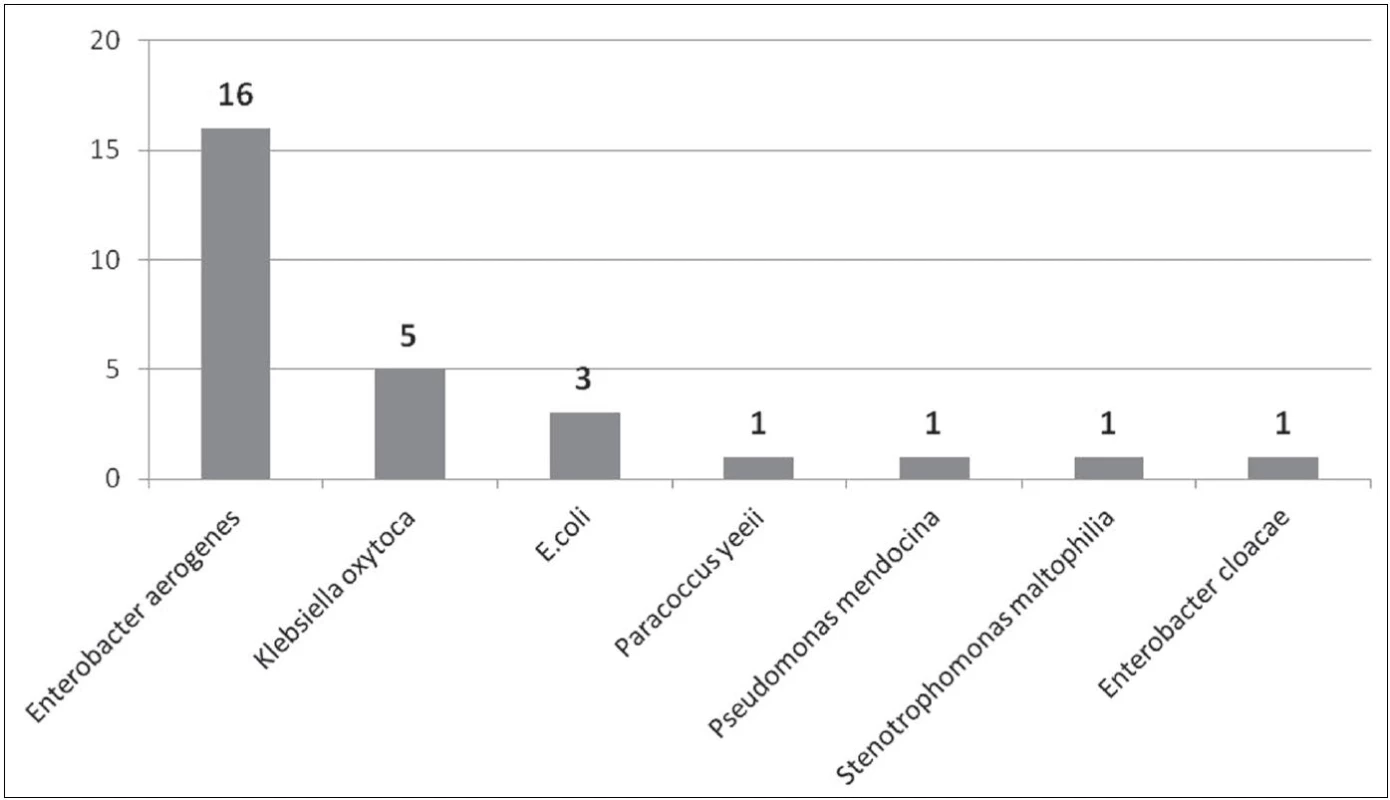 Počty izolovaných gramnegativních bakteriálních kmenů z ošetřujícího personálu
Fig. 2. Counts of Gram-negative bacterial strains isolated from health care providers