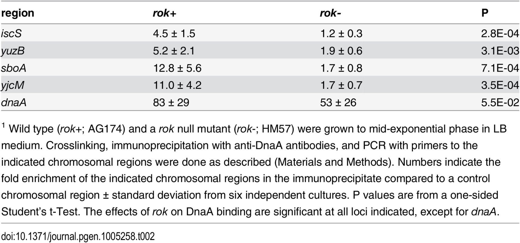 Effects of Rok on binding by DnaA in vivo<em class="ref"><sup>1</sup></em>.