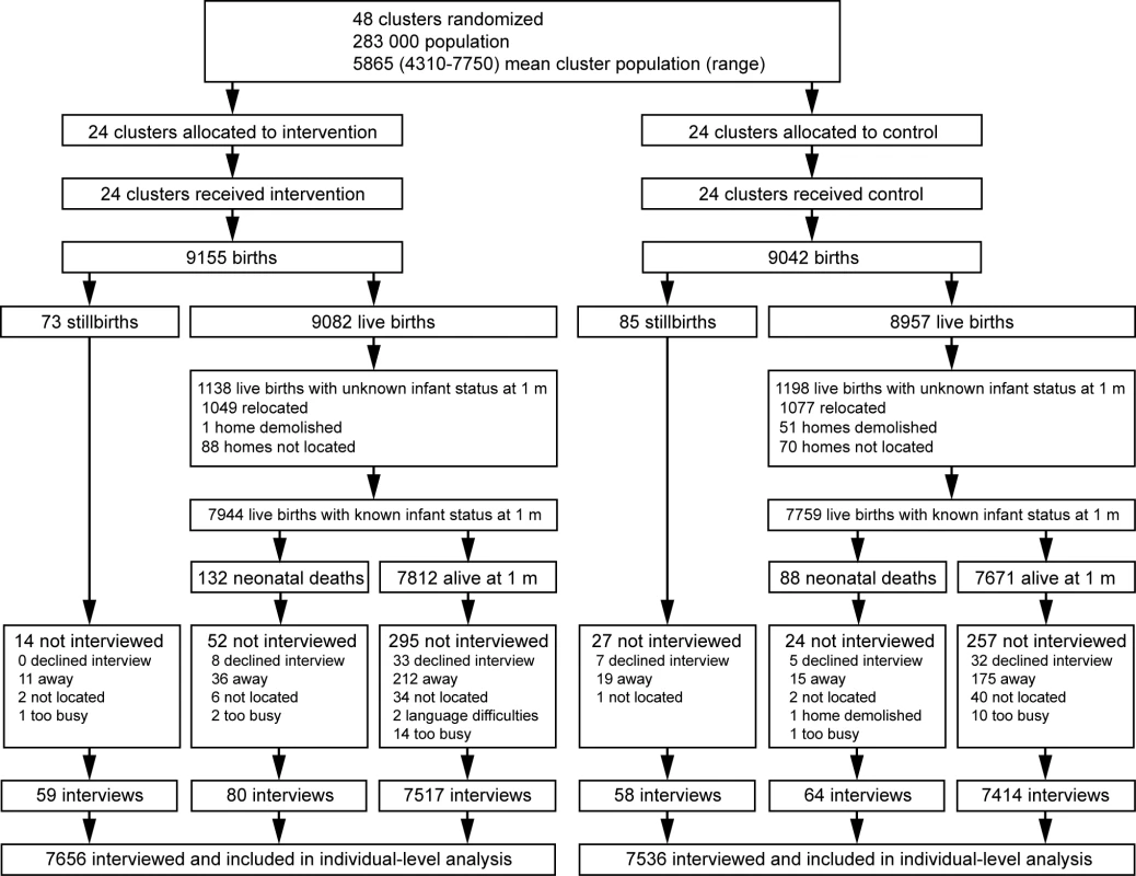 Trial profile.