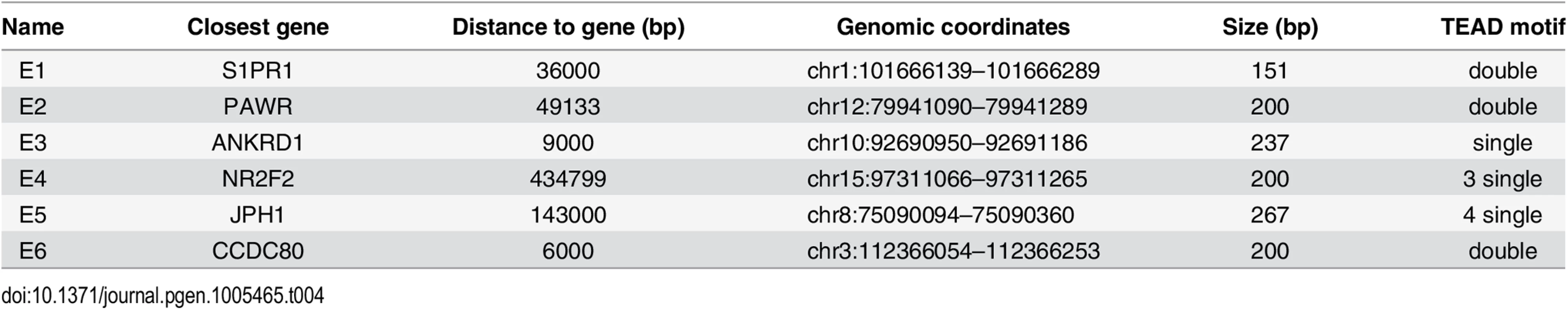 Luciferase reporters (<em class="ref">Fig 4E</em>).