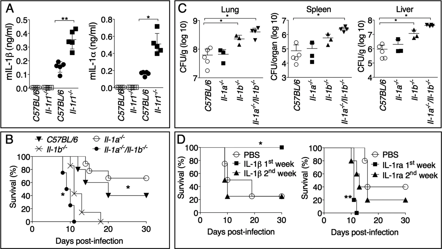 IL-1β, not IL-1α, is protective and acts in the early phase of <i>Ft</i> LVS intranasal infection.