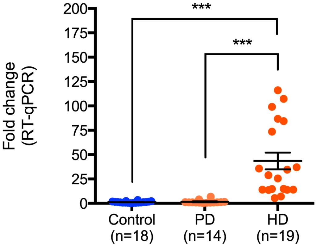 miR-10b-5p expression in control, Parkinson's disease and Huntington's disease prefrontal cortex.