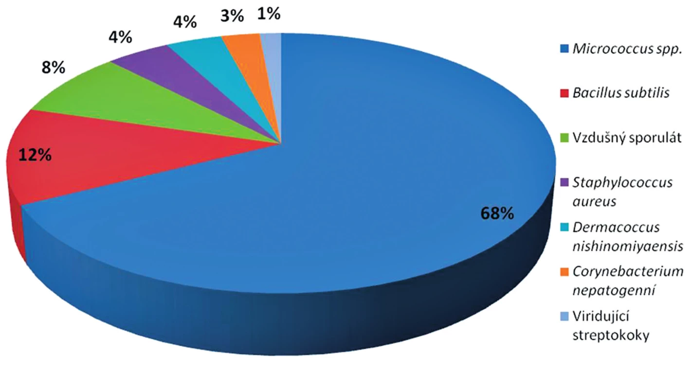 Zastoupení bakteriálních kmenů ve vnitřním vzduchu v procentech – bez koaguláza-negativních stafylokoků (zázemí)
Fig. 4. Distribution of airborne bacterial strains in percentages – excluding coagulase-negative staphylococci (support area)