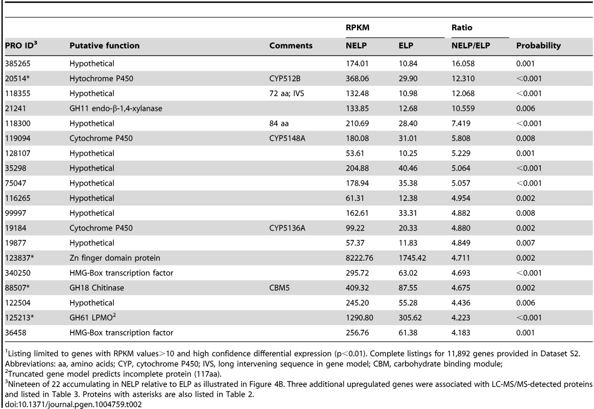 Transcripts accumulating>4-fold in non-extracted loblolly pine wood (NELP) relative to extracted loblolly pine wood (ELP).<em class="ref">1</em>