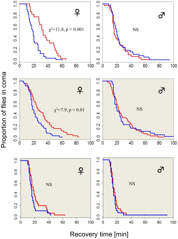 Photo/thermoperiodic-dependent temperature-tolerance in <i>Drosophila</i>.