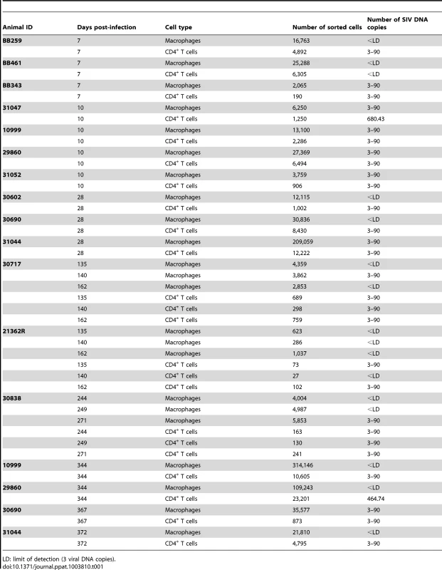 Quantification of SIV DNA copies in sorted semen CD4<sup>+</sup> T cells and macrophages at various stages of infection.