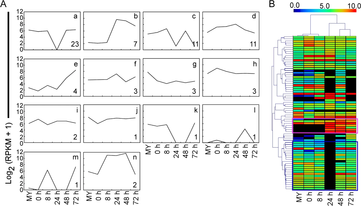 Clustering analysis of gene expression patterns of pathogenicity-related genes and effectors through RNA-Seq.