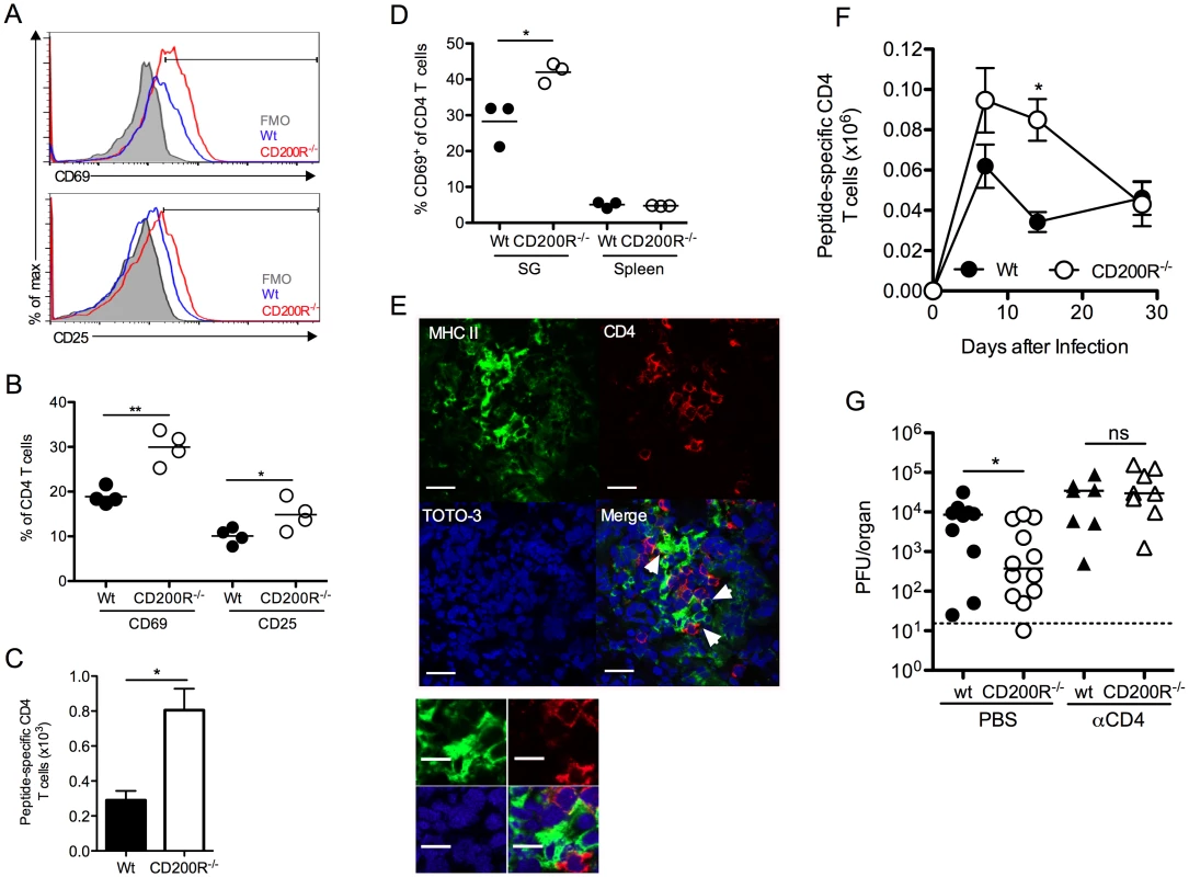 CD4 T cells limit virus persistence in CD200R<sup>-/-</sup> mice.
