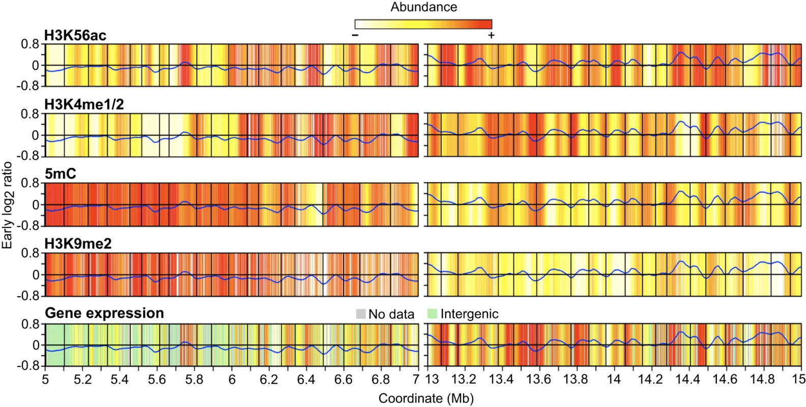 Heat maps of epigenetic modifications and gene expression.