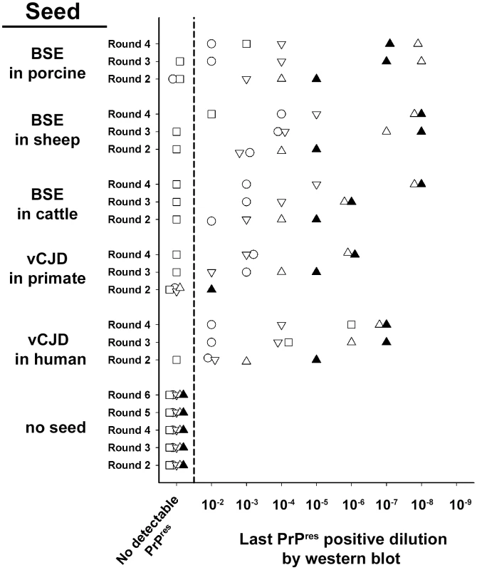 Relative performances of vCJD/BSE agent amplification by Protein Misfolding Cyclic Amplification using brain from transgenic mice expressing different species PrP sequences as substrate.