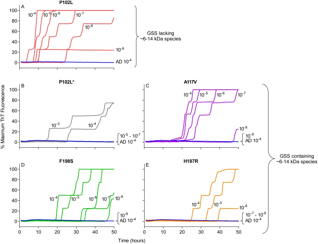 RT-QuIC sensitivity for detection of human GSS P102L, P102L*, A117V, F198S, and H187R seeding activity using BV rPrP<sup>Sen</sup>.