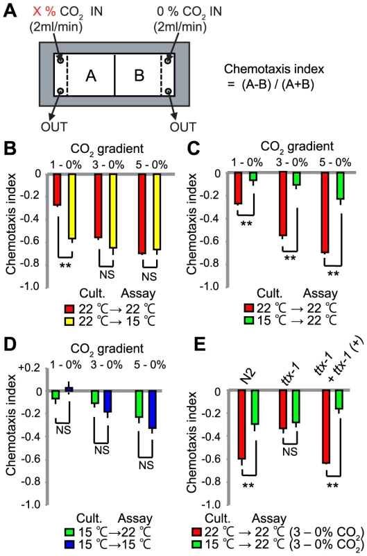 CO<sub>2</sub> avoidance is modulated by acclimation temperature.