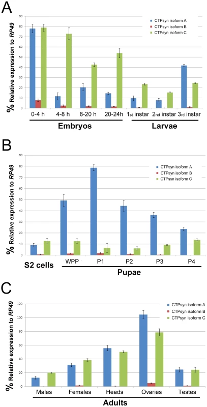 Expression profiles of <i>Drosophila</i> CTPsyn isoforms as revealed by qPCR.
