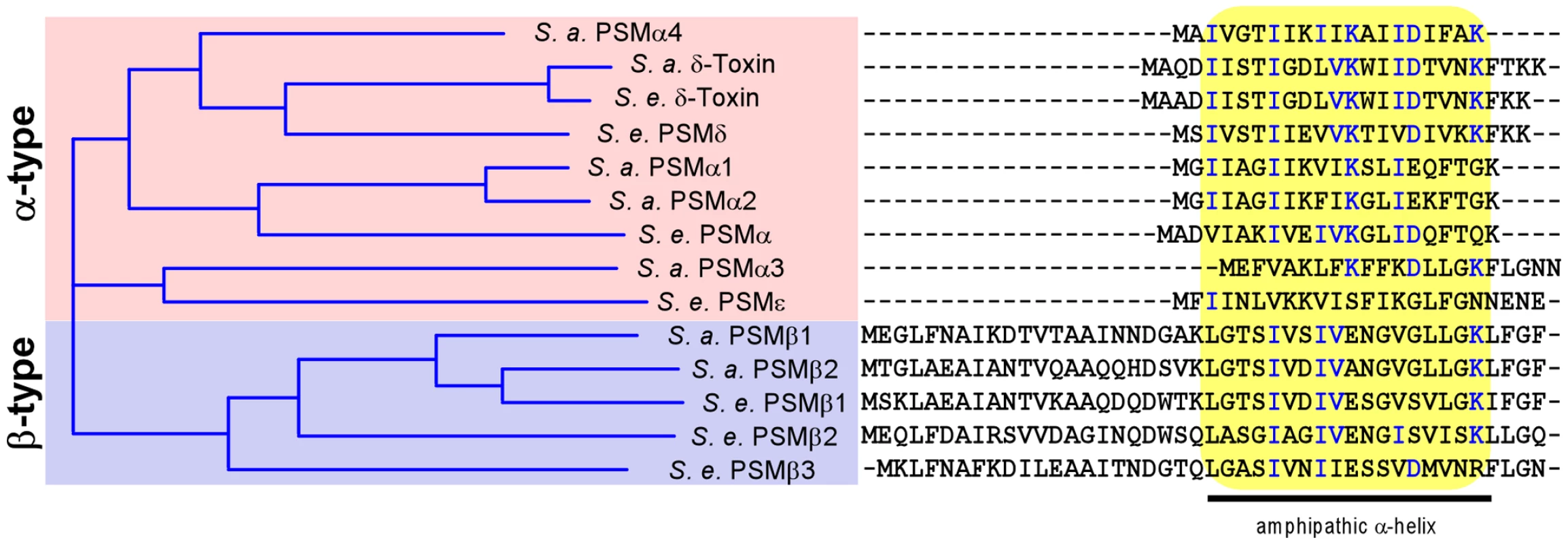 <i>S. epidermidis</i> and <i>S. aureus</i> PSMs.