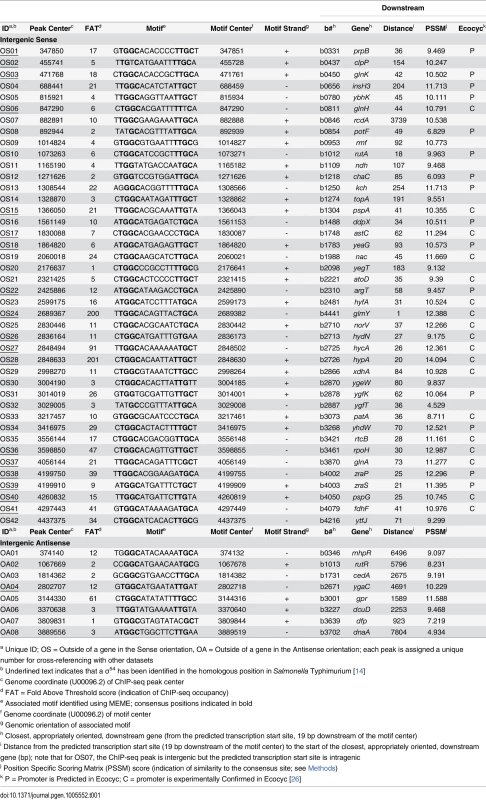 Intergenic σ<sup>54</sup> ChIP-seq peaks.