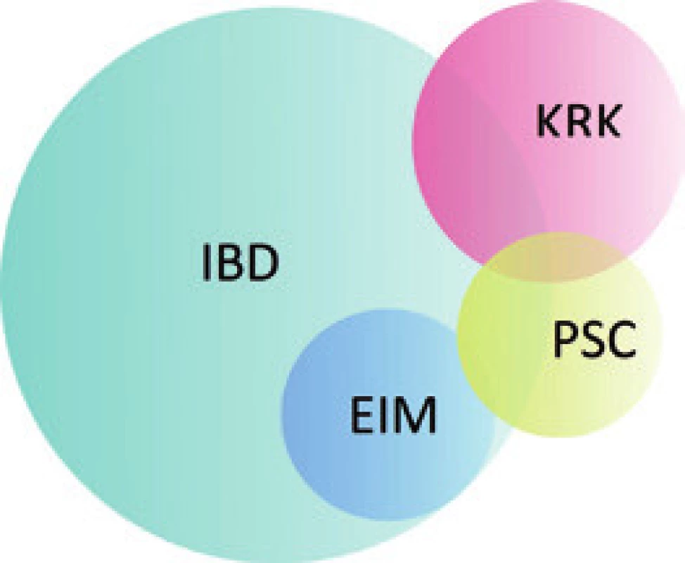 Schematické znázornění vztahu PSC, IBD, EIM a KRK. PSC – primární sklerozující cholangitida, IBD – idiopatický střevní zánět, KRK – kolorektální karcinom, EIM – extraintestinální manifestace IBD.
Fig. 4. Diagram of the relationship between PSC, IBD, EIM and CRC. PSC – primary sclerosing cholangitis, IBD – inflammatory bowel disease, CRC – colorectal carcinoma, EIM – extraintestinal manifestation of IBD.