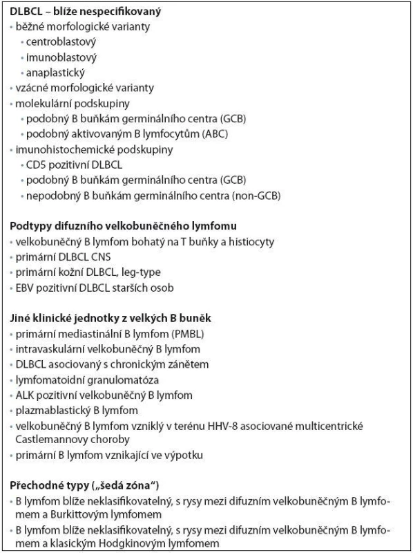 DLBCL – varianty, podskupiny, podtypy a klinické jednotky (podle [18]).