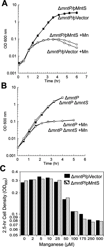 The <i>mntP</i>-null mutation is epistatic to overproduction of MntS with respect to manganese sensitivity.