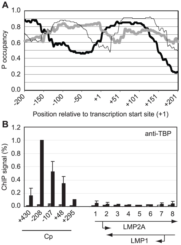 Pol II pausing at Cp is driven by DNA sequences that promote access by TBP.