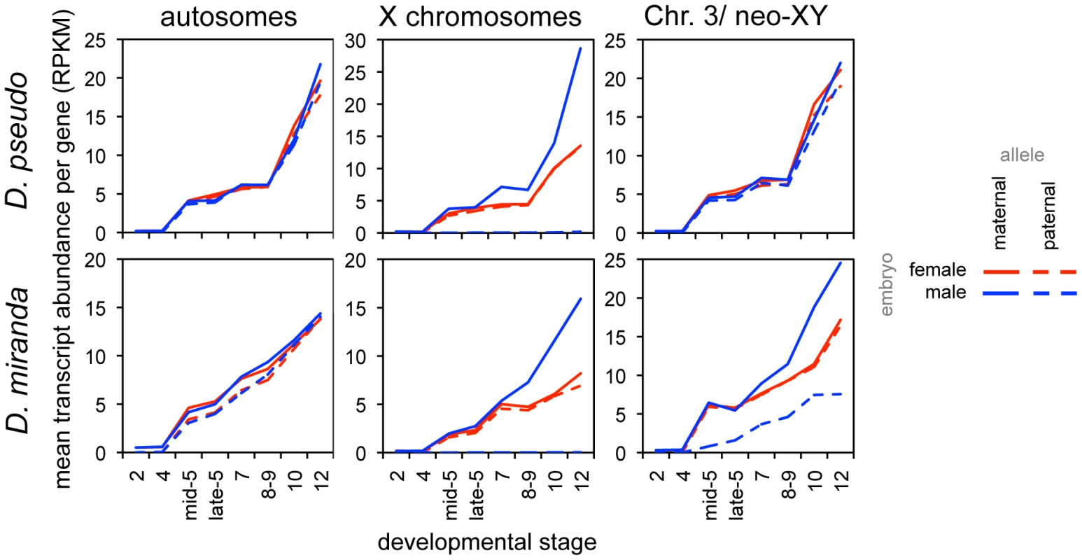 Onset of dosage compensation for zygotically transcribed genes, as revealed by allele-specific expression.